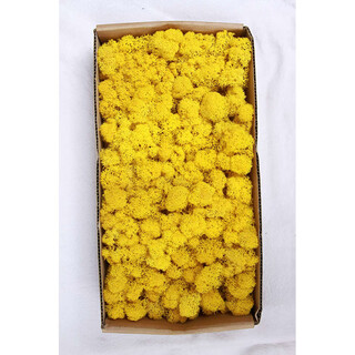 Plant boxed flower material package diy dry dried flowers real flower plant wall simulation fluffy background wall medium yellow 500g