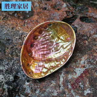 Shangyanfang brass tea dial, tea spoon, tea pick, tea needle, tea spoon, tea shovel travel set, portable home office kung fu tea ceremony set, red