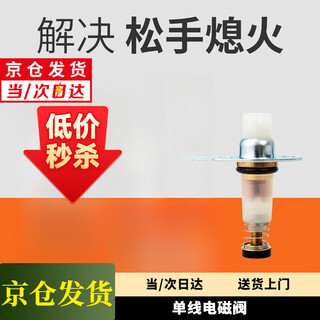 Jiangjusheng gas stove gas stove accessories universal natural gas ignition needle induction needle ignition accessories with wire copper head induction head single line solenoid valve