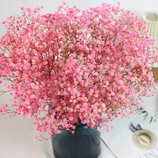 Jatu dace festival dried flowers everlasting gypsophila real flowers home wedding decoration flower arrangement window soft decoration landscaping dream star yunnan straight everlasting gypsophila light pink about 420g