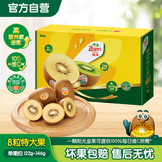 Zespri new zealand sunshine gold kiwi fruit 8 pack extra large fruit single fruit weight approximately 122-146g fruit kiwi fruit