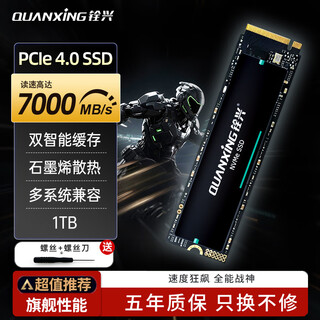 铨兴（QUANXING）1TB SSD固态硬盘 AI PC存储配件 M.2接口 2280（NVME协议）PCIe4.0 读速7000MB/s N700