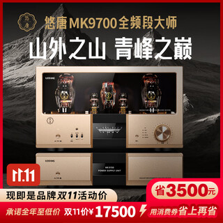 U-tang mk9700 pure tube amplifier audiophile grade 300b push 845 high-end hifi household single-ended class a tube power amplifier mk9700. split tube amplifier