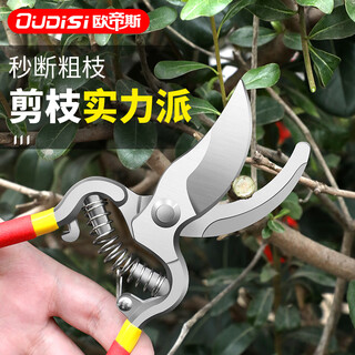Otis fruit tree pruning shears, special scissors for garden pruning, gardening shears, pruning tools, german labor-saving scissors, 55# steel, red devil labor-saving fruit tree shears