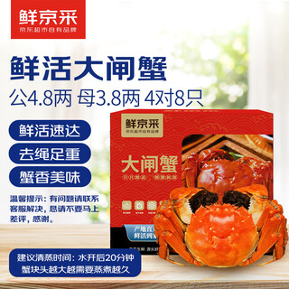 Live crabs, freshly picked from beijing, fresh hairy crabs, male crabs 4.8 taels, female crabs 3.8 taels, 4 pairs of 8 pieces, full weight without rope, fresh crab gift box