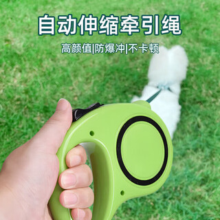 Zigman dog leash 3 meters automatic traction rope + collar small and medium-sized dog walking rope 2-piece set teddy golden retriever dog chain