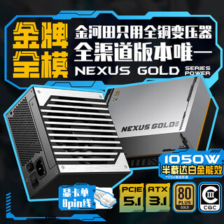 金河田（Golden field）Nexus Gold 1050W 黑 ATX3.1台式电脑电源 金牌双认证/12V-2*6/日系主电容/稳压5090D显卡/压纹线