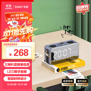 索爱（soaiy）S18 蓝牙音箱电脑音响家用手持闹钟户外低音炮收音机插卡收款 广场舞扩音器创意 珊瑚灰