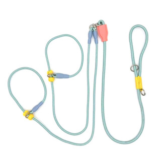 Double-ended leash, one-to-two dog walking artifact, p chain, universal for small, medium and large dogs, main picture, blue, main rope (0.85m long) auxiliary rope (1.0m long)