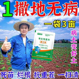 Genuine soil fungicide for soil-borne diseases, rapid disinfection and bacteriostatic soil, anti-repeat root rot fungus, universal, insect-proof and disease-resistant, 8 bags, disease-free for ten years