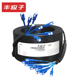 Fengyingzi outdoor multi-mode armored optical cable finished product optical cable jumper fusion-free optical fiber line telecom grade 8-core sc-sc 500 meters fyz-z82f