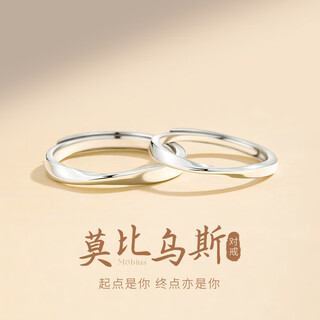 Glten mobius couple ring pure silver ring girl birthday gift wedding confession commemoration for boyfriend and wife mobius couple ring-999 pure silver