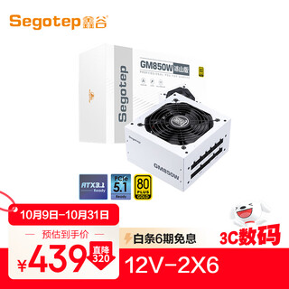 Xingu (segotep) gm850w atx3.1 gold medal full module iceberg version power supply (12v-2x6 supports 5070ti/5060ti graphics card/white desktop computer main chassis power supply)