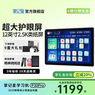 掌记星2025款12英寸学习机平板电脑小学到高中课程同步全科全年龄段学生平板作文批改初中英语课本点读机 高配款【16G+512G】家长管控+精品课程