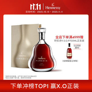 轩尼诗（Hennessy）百乐廷干邑白兰地700ml 法国进口洋酒礼物