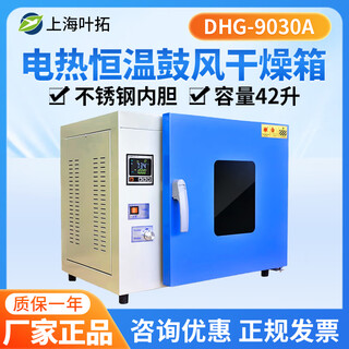 Electric constant temperature blast drying oven vacuum drying oven high temperature heating industrial laboratory dhg-9030a blast/desktop stainless steel/42l