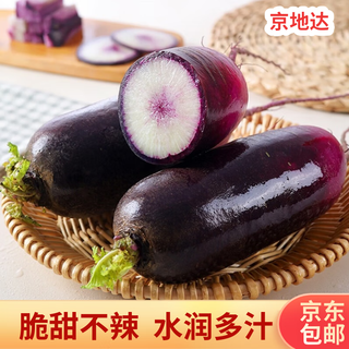 Jingdida shandong ice cream radish net weight 5jin jin is equal to 0.5kg single fruit 125g + fruit radish crispy, sweet and not spicy straight from the source