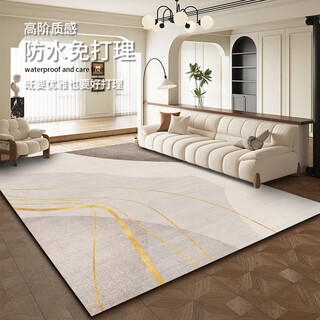 Xianbang 2025 new style living room carpet, high-end light luxury coffee table, sofa, bedroom bedside, large area simple household mat, mianyu 200*300cm