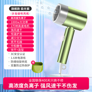 Royalstar hair dryer negative ion household light maintenance hair dryer high power quick-drying hair dryer ladies portable hair dryer gifts for girls holiday gifts rc-210z green exclusive hair care professional hair dryer negative ions + moroccan essential oil