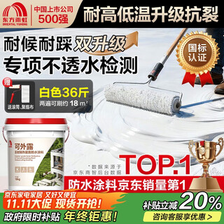 雨虹防水 屋顶防水补漏材料 防水胶 补漏王 耐高温耐晒隔热防水涂料 18kg