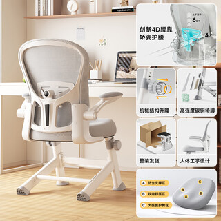 Banbeiyou computer chair student study chair writing study chair ergonomic chair home lift waist support teen chair champion chair pro white frame gray