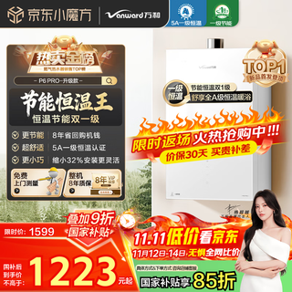 Vanward bailu p6 pro level 1 constant temperature, 15% national subsidy, 16 liters of natural gas water heater, dc frequency conversion, energy-saving, supercharged, large water volume, pear blossom white