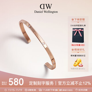Daniel wellington dw bracelet for women shining star series rose gold small couple bracelet birthday gift for girlfriend dw531