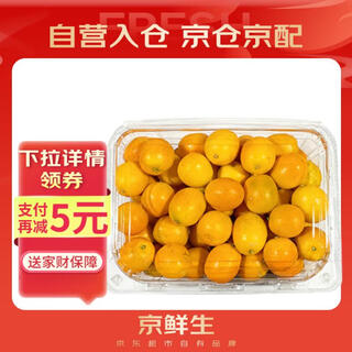 京鲜生 云南油皮金桔/金橘 净重1斤 单果12g起  生鲜水果