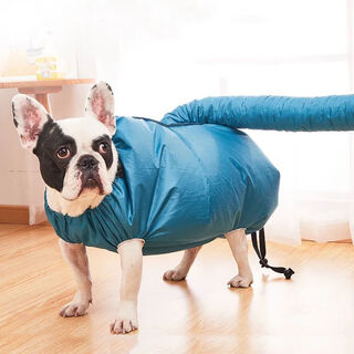 宠物烘干箱自动烘干袋泰迪柯基猫咪吹风机狗狗洗澡金毛静音吹毛 XL适合体重40-60斤狗狗