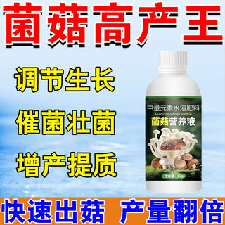 Mushroom growth vegetarian food uses mushroom nutrient solution to promote mushroom production, promote mushroom king, promote mushroom growth, strengthen mushrooms, improve quality and increase production, 1 bottle of mushroom high-yield king, suitable for a variety of mushrooms