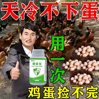 More eggs, more eggs, more eggs, more eggs, more eggs, chickens, ducks and geese lay eggs, increase egg production, improve egg quality, feed additives for egg production, 3 bottles, buy two, get one free