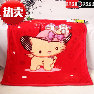 Famous premium winter cloud blanket double layer thickened baby blanket newborn baby blanket children kindergarten blanket children quilt red cat castle 110x140 super soft