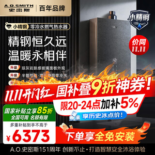 Smith (a.o.smith) 16 liters zero cold water gas water heater small fine steel ej5wi state subsidy supercharged large water volume constant temperature silent energy saving natural gas new product