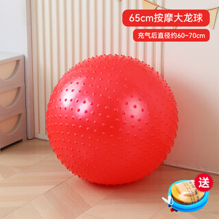 He jiagong early education dragon ball children's vestibular sensory training equipment kindergarten balance touch yoga home massage toy particle dragon ball (red 65cm)