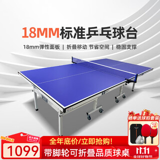 庞伯特（pongbot）乒乓球台 家用可折叠式成人乒乓球桌室内带轮含网架 可折叠 带滚轮 T01 18mm蓝色