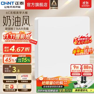 正泰（CHNT）开关插座6C奶油风 家用86型斜五孔插座面板暗装插座纯平大板 白色 空白面板