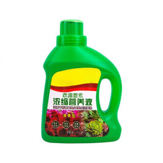Ouoety guanyin bamboo nutrient solution lucky bamboo hydroponic plant universal rooted water root special fertilizer specially treats yellow leaves lucky bamboo special nutrient solution 4 bottles