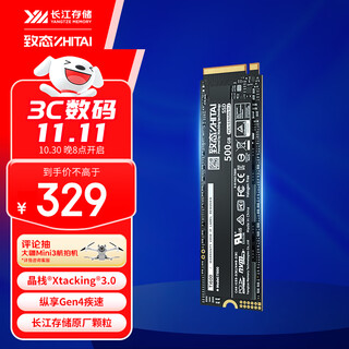致态（ZhiTai）长江存储 500GB SSD固态硬盘 NVMe M.2接口 Ti600系列 (PCIe 4.0 产品)