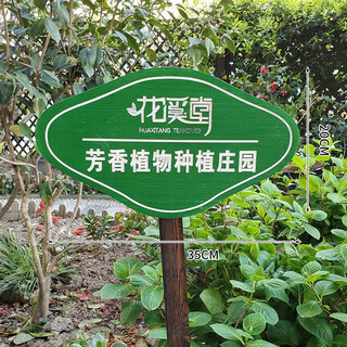 Anticorrosive wood vertical sign, care for flowers and plants sign, green custom sign, lawn sign, warning sign, insert 20x35cm pole length 65cm