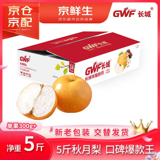 Jingxiansheng great wall mutton fat qiuyue pear authentic large fruit net weight 5jin jin is equal to 0.5kg 6-8 pieces fresh fruit gift box