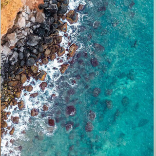 Tuojin imported quality translucent apron from japan for kitchen household long-sleeved waterproof and oil-proof adult coveralls overalls for killing fish, all-inclusive_no pockets_one size fits all_black