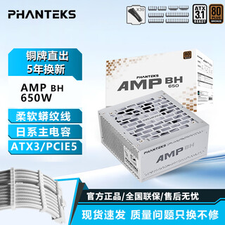 追风者追风者AMP BH650W 650GH电源金牌全模台式电脑电源机箱电源650W白色ATX3.1电源 750W蟒纹线理线梳 AMP BH650W铜牌直出ATX3.1 白色