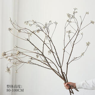 Small white fruit and black tallow tree natural branch dried flower bouquet dry branch wabi-sabi style vase flower arrangement decoration high sense real flower small white fruit special long branch 4 pieces 80-100cm random shape