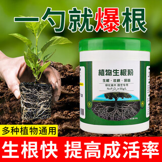 大丰收丰创严选植物生根粉通用型水溶肥花卉蔬菜果树木移栽扦插专用快速生根500g
