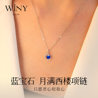 The only (winy) sterling silver necklace, women's pendant, birthday and valentine's day gift for girlfriend and wife, silver jewelry, light luxury niche