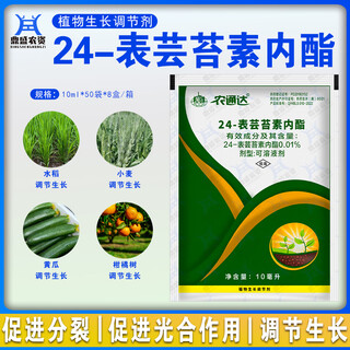 Nongtongda 24-epibrassinolide cucumber rice citrus plant growth regulator genuine 10ml*10