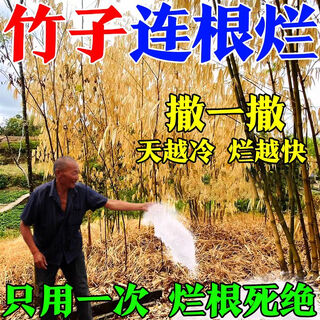 Bamboo-killing medicine for killing bamboo root and root rot. powerful to kill bamboo king. bamboo-killing medicine. bamboo-killing bamboo root and root rot powder. 500g. 3 barrels.
