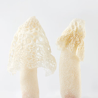 Shan ye xun xian fresh dictyophora 90g