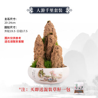 Absorbent stone natural stone bonsai fish tank courtyard medium and large fish pond landscaping absorbent stone original stone landscaping decoration place people travel thousand miles grass seed set