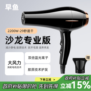 Zaoyu hair dryer household negative ion high-power hair care quick-drying barber shop hair stylist special hair dryer 2200w power salon professional model